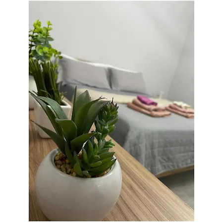 Casa Melly Apartment